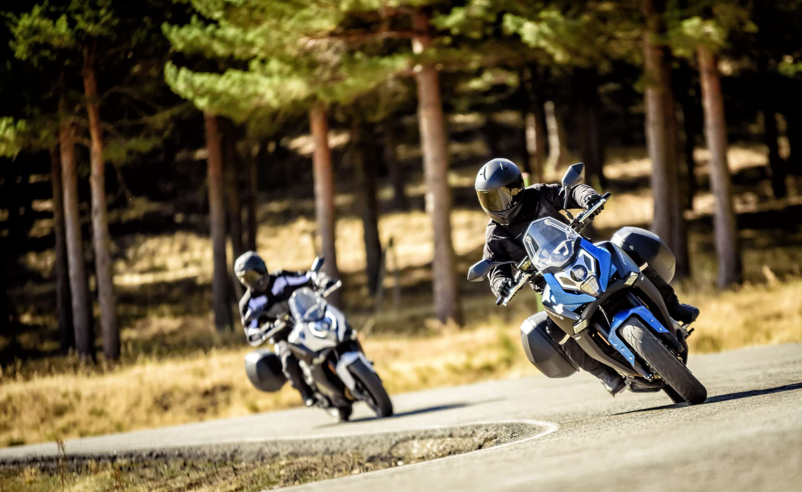 Two motorcyclists in protective gear ride blue and white adventure motorcycles along a winding forest road during a scenic outdoor tour in Greece.